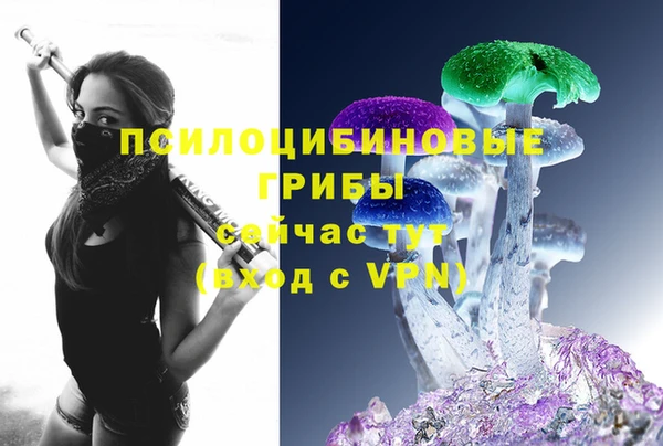 ALPHA PVP Куйбышев
