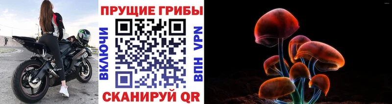 Галлюциногенные грибы ЛСД  Купить закладки  Елец 